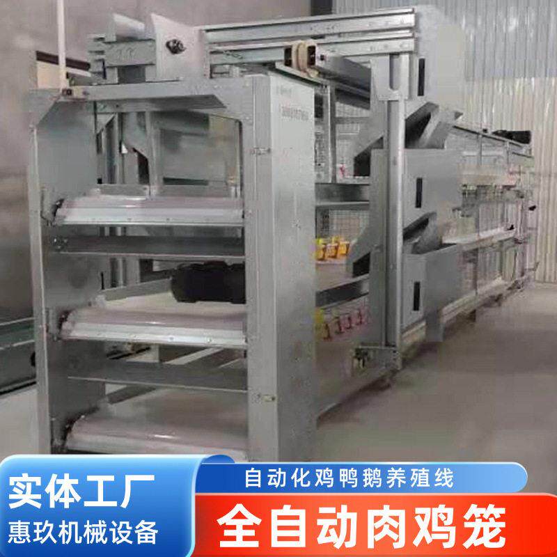厂家生产全自动肉鸡笼养殖笼具多层鸡笼大型鸡场自动化养殖设备