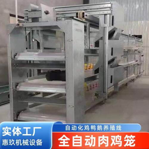 厂家生产全自动肉鸡笼养殖笼具多层鸡笼大型鸡场自动化养殖设备