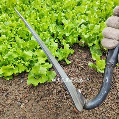 锰钢锄头锰钢锄草大田除草锄地专用大号锄头农村家用锄草锄地工具