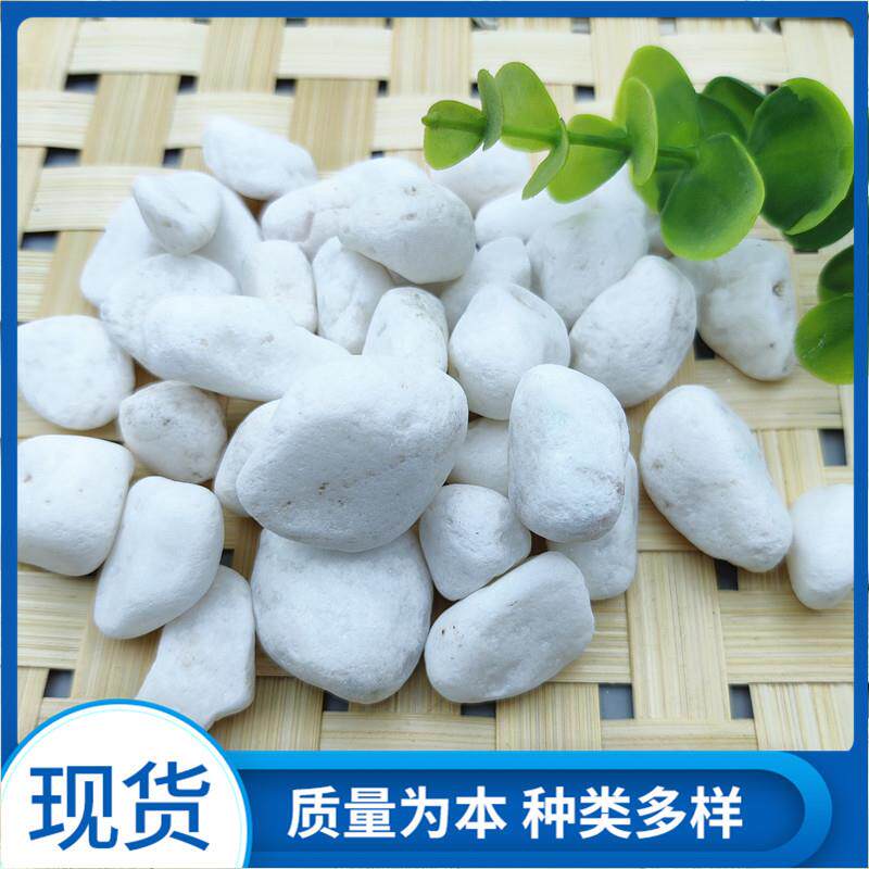 天然白石子鹅卵石白石头汉白玉彩石园艺盆栽石头多肉铺面庭院造景