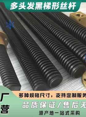 梯形丝杠MTSW/MTSWW/MTSBWW/RMTSWW8 10 12 14 16 18 20 22 25