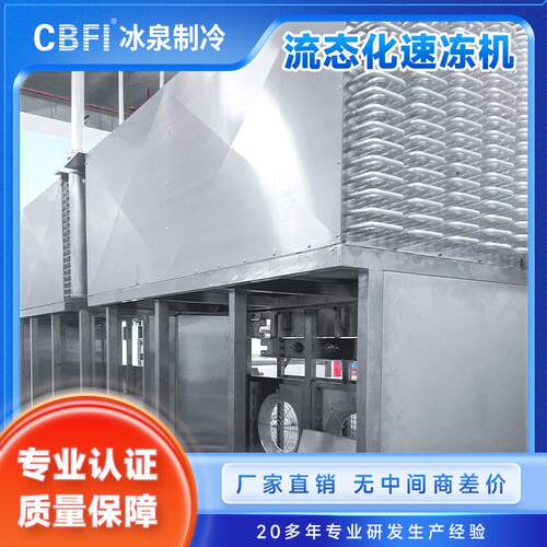 流态化速冻机水果IQF单体速冻设备蓝莓/草莓速冻生产线-35℃