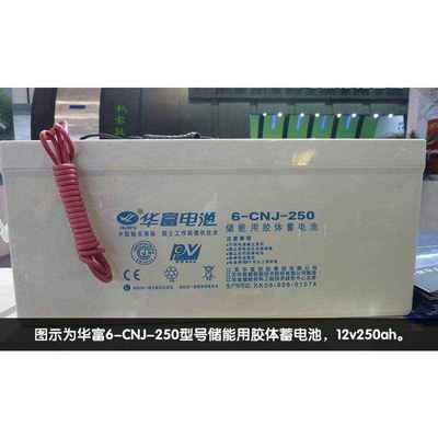 华富蓄电池6-CN-200核电站 应急电源12V200AH 直流屏配电柜干电池