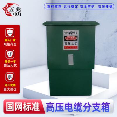 10KV高压电缆分支箱DFW-12/630不锈钢/铁壳一进一二三四五出欧式
