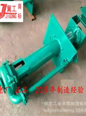 河北保定水泵直销制砖厂搅拌池用40PV,65QV,100RV-SP液下渣浆泵