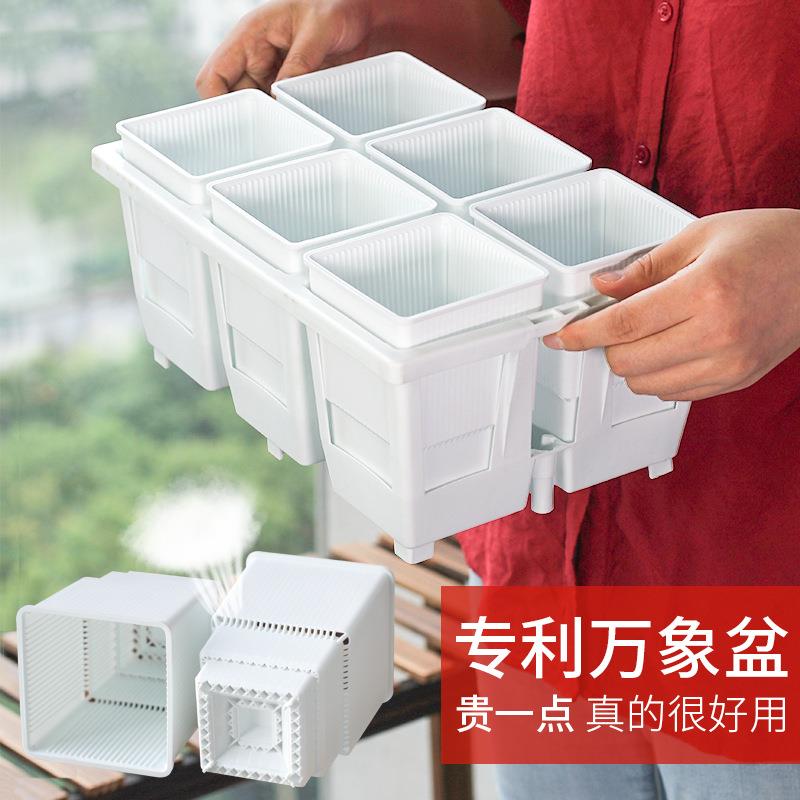美莳控根高腰万象盆塑料加厚多肉十二卷带托花盆套装可自动存排水