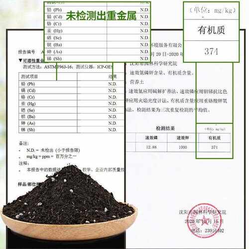 新款直销家用通用型有机营养土养花种菜草莓大包种植土育苗基质