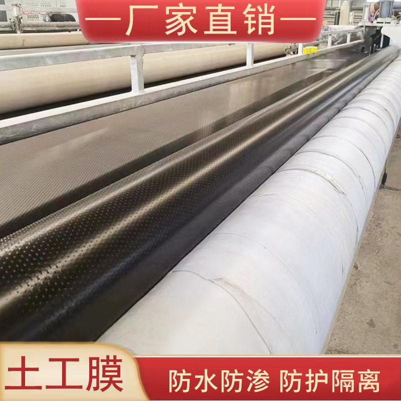 hdpe防渗膜土工膜黑色PE加厚聚乙烯土工膜鱼池护坡水产养殖土工膜
