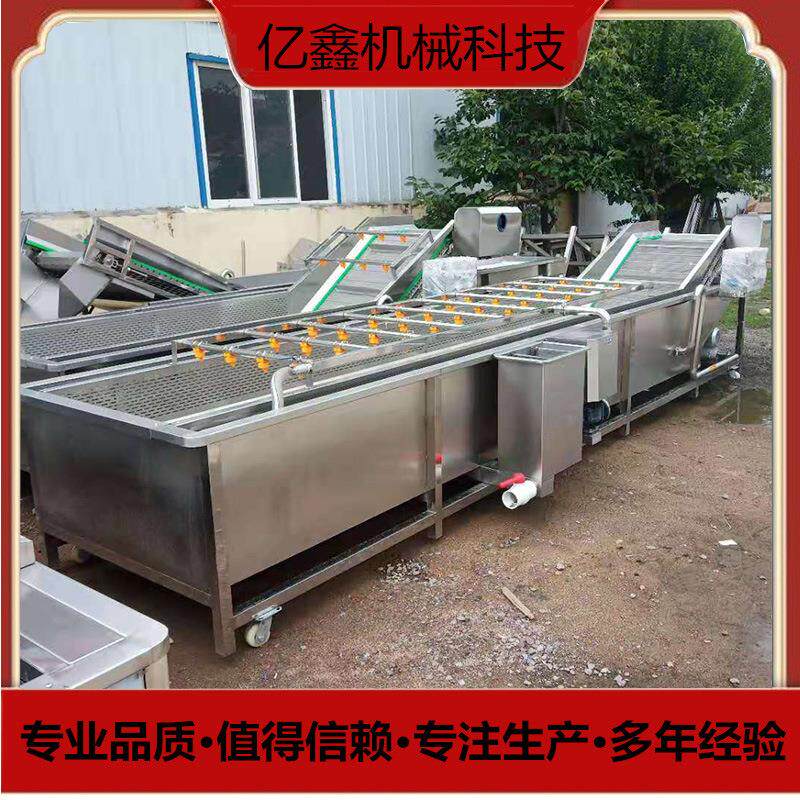 新疆大枣平行毛辊清洗机木耳银耳气泡清洗机带提升鼓泡喷淋清洗机