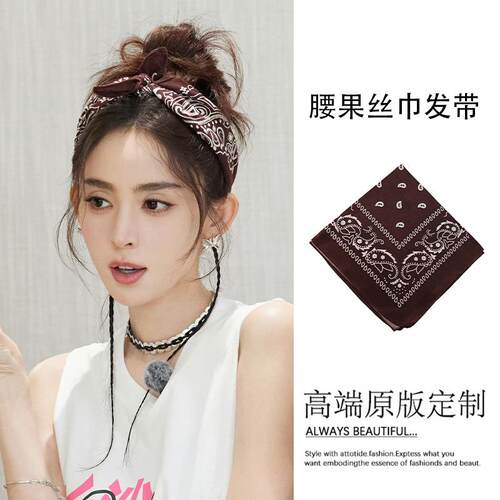 2026新款棕色绑发丝巾发带