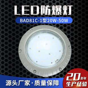 LED防爆灯BAD81C 50W车间照明仓库照明防爆路灯平台灯 1型20W