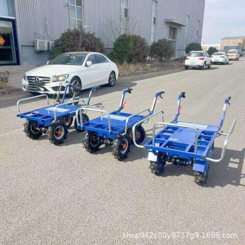 电动鸡公车农用三轮手推车家用双轮搬运车大棚拉蔬菜水果平板车