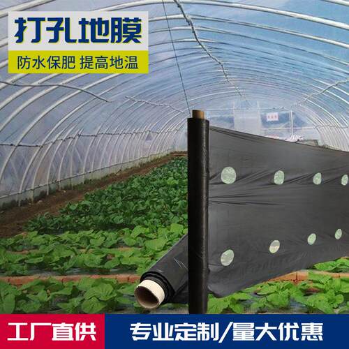 农用打孔地膜PE料黑色塑料农膜草莓大棚膜种菜塑料布薄膜黑色地膜