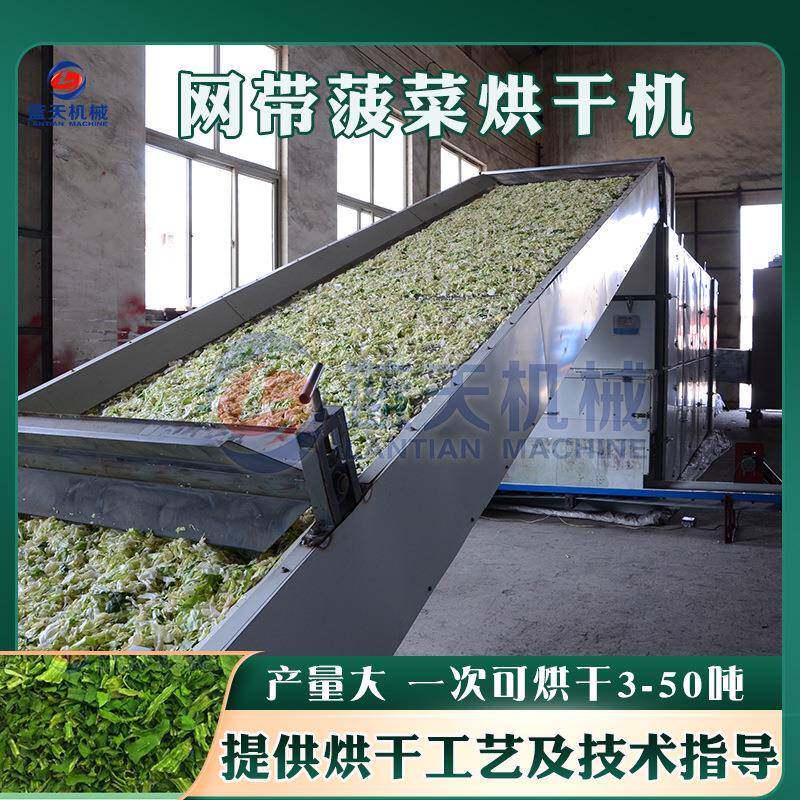 大型蔬菜干燥机连续式卷心菜上海青脱水烘干设备网带菠菜烘干机
