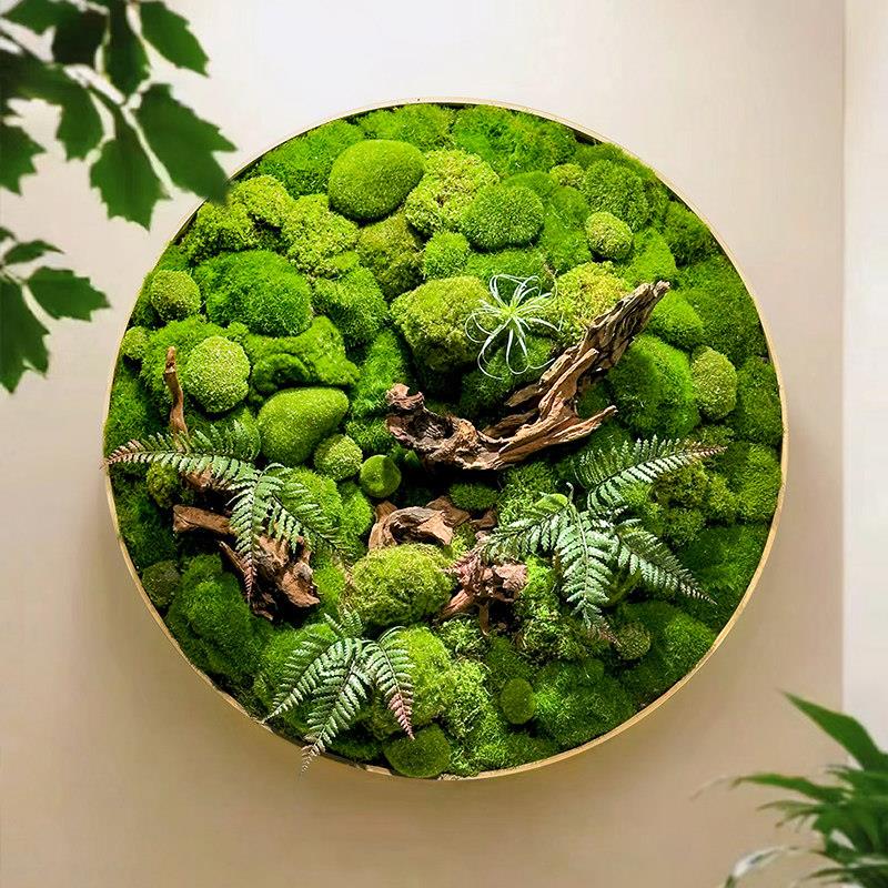 永生苔藓金属盘壁挂自然风仿真苔藓墙面装饰画框 客厅过道软装苔