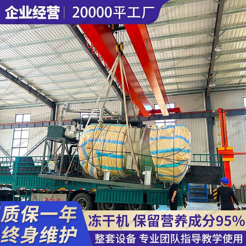 切片整个红枣冻干机低能耗真空冷冻干燥机香脆坚果核桃冻干设备