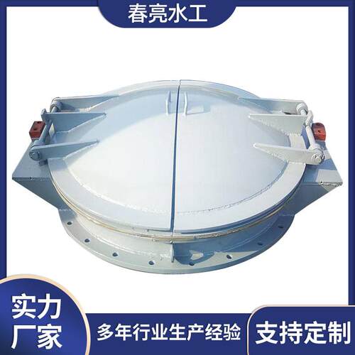 双开钢制拍门污水处理防倒灌侧翻式法兰厂家加工法兰闸阀闸门