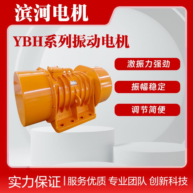 YBH-100-2系列振动电机三相异步2级震动电机功率7.5W