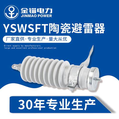 金锚厂家直发YSWS-17-50FT陶瓷避雷器 高压白色 户外避雷器