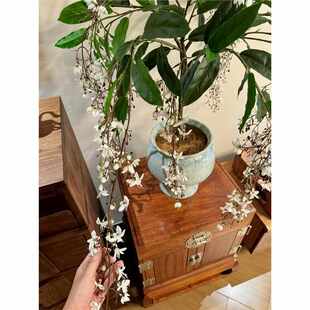 饰摆件 海虹景品垂丝茉莉仿真绿植假花客厅高级小型中古桌面玄关装