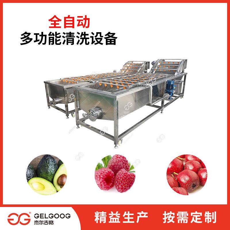 机全自动水果气洗泡清机不锈钢FQT翻浪水果蔬菜清洗设备 青梅清