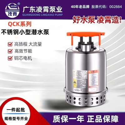 凌霄大功率不锈钢自动潜水泵小型家用抽水泵水泵自吸泵压泵