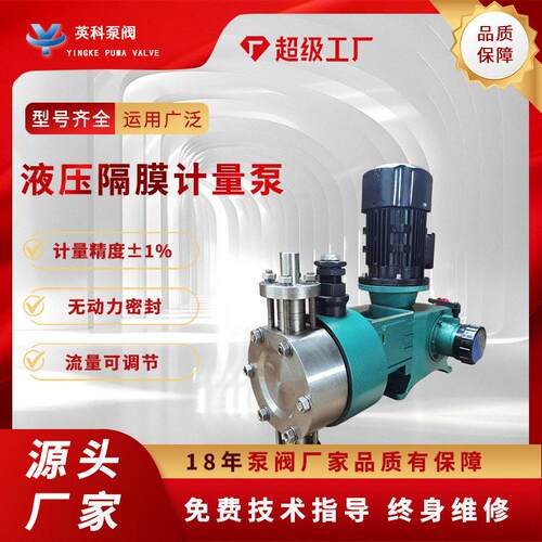液压隔膜式计量泵压DYX加泵不锈钢耐腐蚀防爆变频PACPAM剂