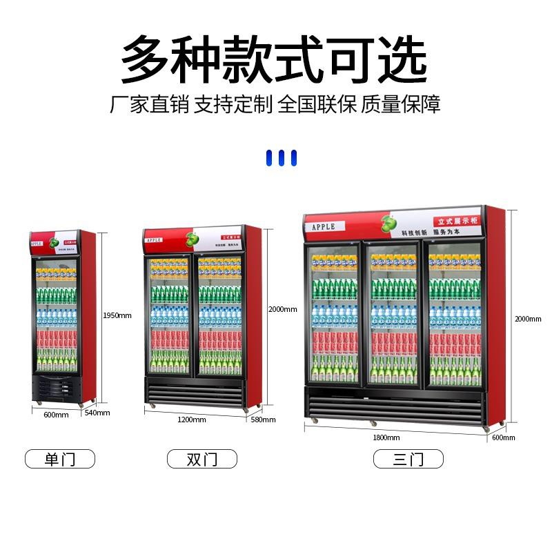 单门饮料柜商用立式保鲜柜商用超市便利店啤酒柜双三门冰箱