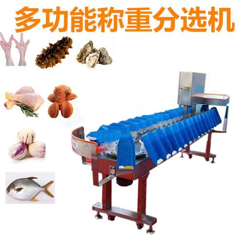 海参称重分级机 生蚝牡蛎全自动智能分选机分拣机 鸡爪水果分选秤