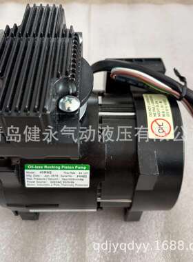 G&M TECH真空泵 40RNS无油活塞泵12RNS/10RNS/15RNS/20RNS/30RNS