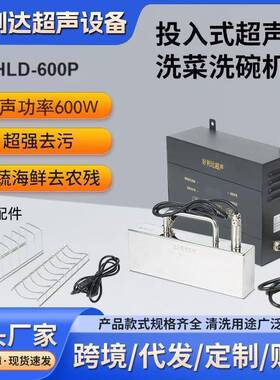 超声波洗碗机投入式家用洗水果洗菜洗碗洗海鲜多功能超声波清洗机