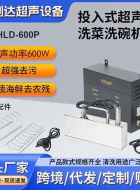 超声波洗碗机投入式家用洗水果洗菜洗碗洗海鲜多功能超声波清洗机