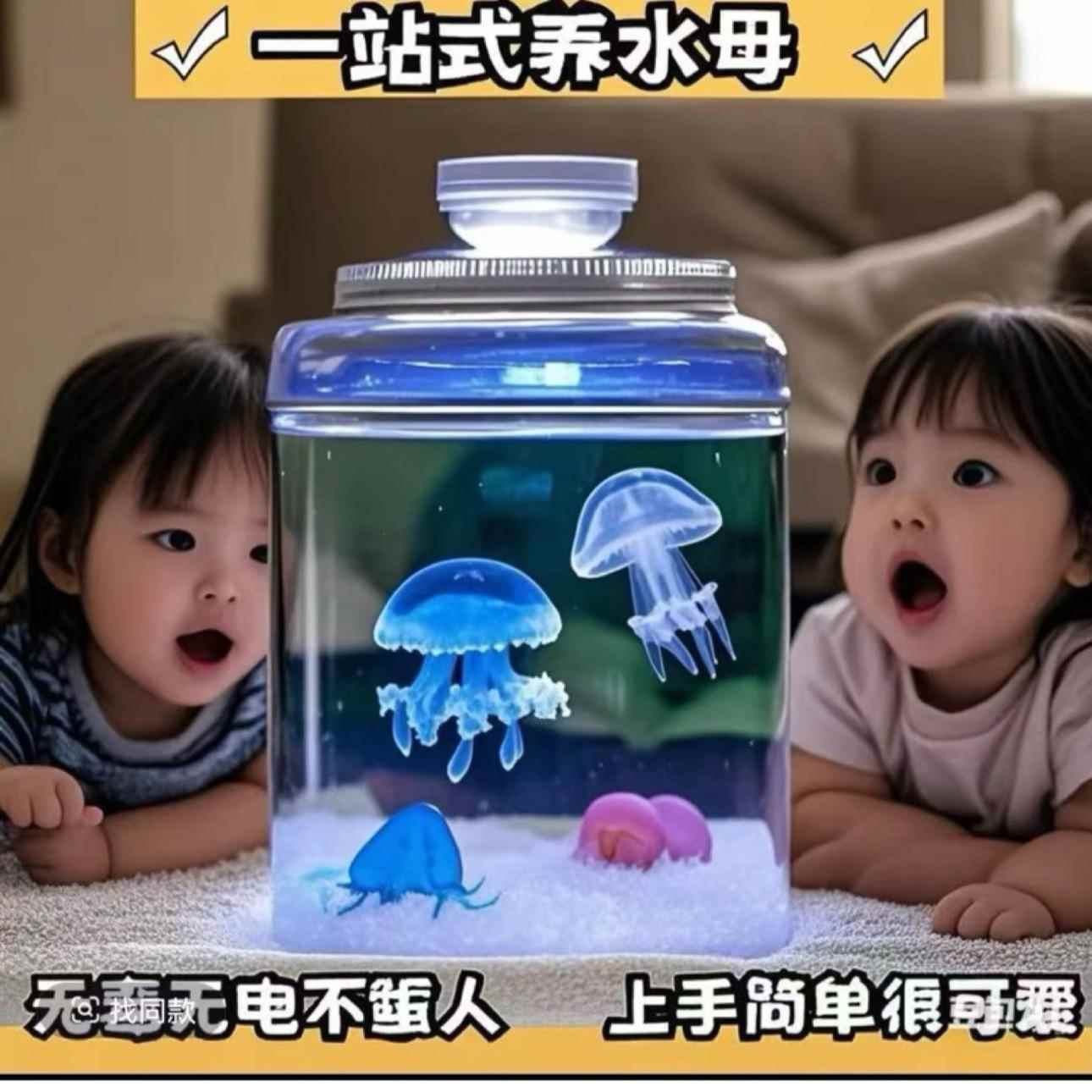 可上手小宠物懒人小宠物适合养的宠物适合学生儿童好养小动物迷你