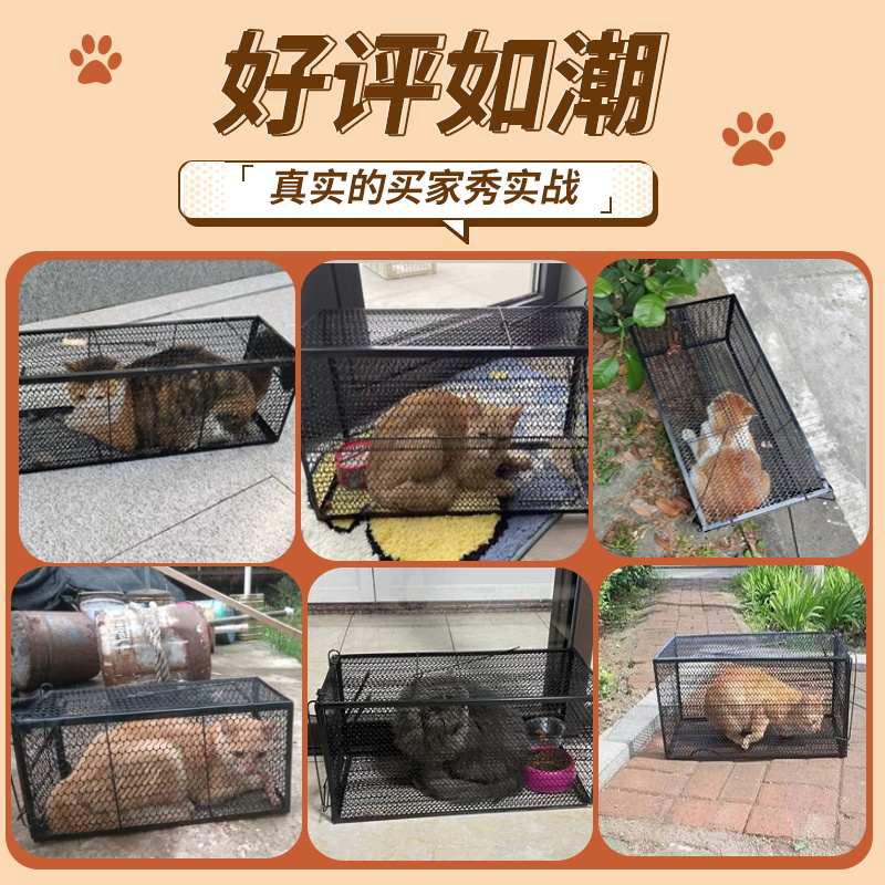 全自动捕猫笼大号逮流浪猫神器抓猫笼专用救助捕猫器捉猫笼抓猫器