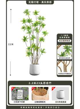高档客厅装饰品摆百件合竹仿真绿玄关电视柜轻植奢高档假物落地植