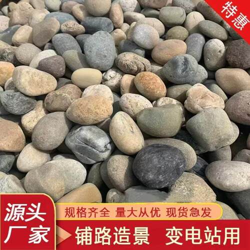 福建天然鹅卵石河卵石五彩原石铺路造景变色站用25kg现货