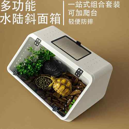防逃跑轻便换水爬宠箱水陆两用蜥蜴寄居蟹蛇角蛙保温箱斜面饲养箱
