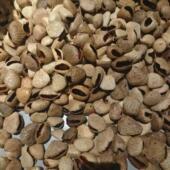 果壳风铃DIY材料包手工声束摇铃吊坠印尼黑果壳老树配件包