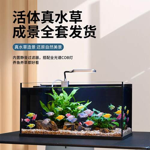 2026新款40全套鱼缸超白玻璃自循环过滤增氧生态缸客厅家用鱼缸