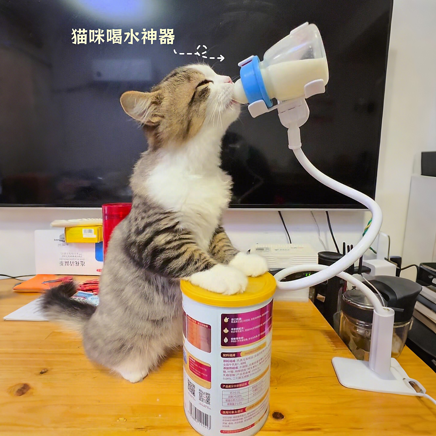 猫咪喝水器流动无线不插电猫猫喂水器可携式自动饮水宠物哺乳神器