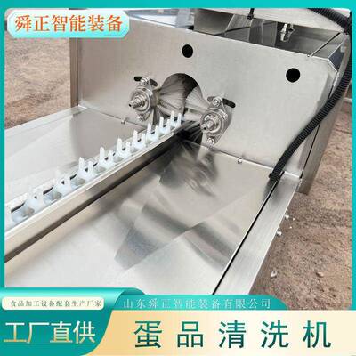 定大型鸡洗蛋机养殖场鸡鸭蛋制类大型SOQ清 洗机 蛋清洗光检一体