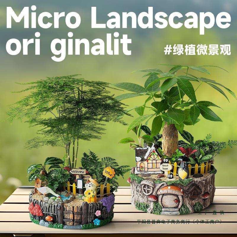 发财树盆景绿植室内盆栽文竹植物创意可爱办公室桌面微景观物