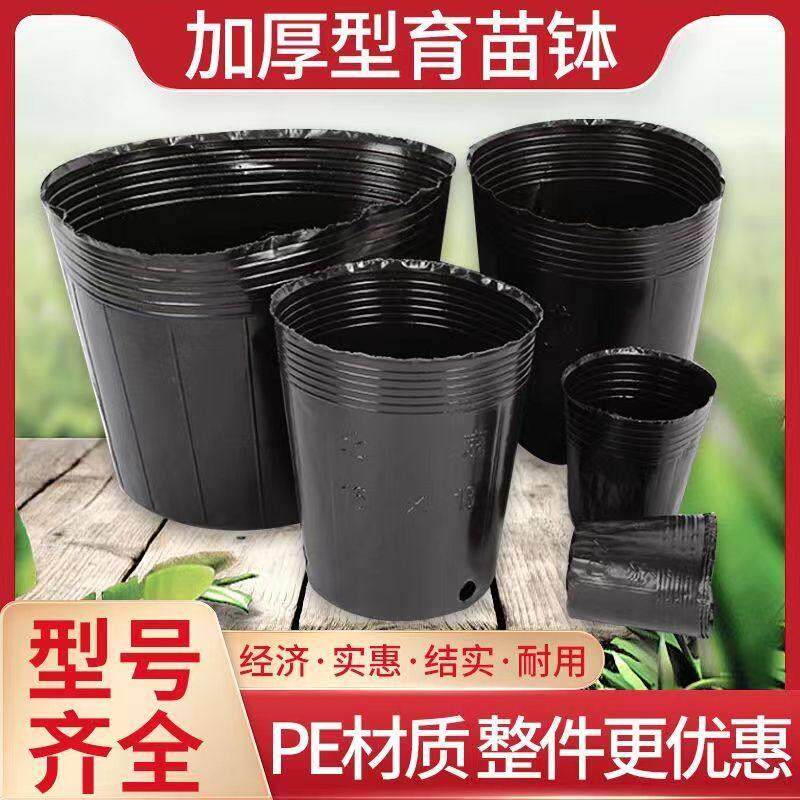 槟榔营养育苗杯加厚超厚苗木花卉蔬菜大号黑色一次性育苗袋草莓盆