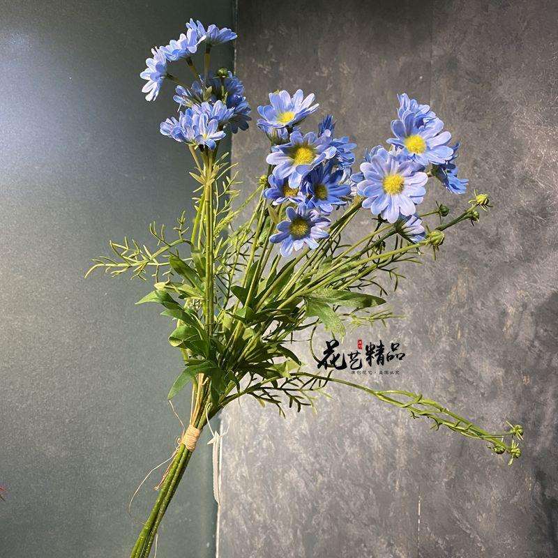 捆扎5枝野菊花小雏菊花海拍摄白色小野花单只/束简约时尚手捧花洋
