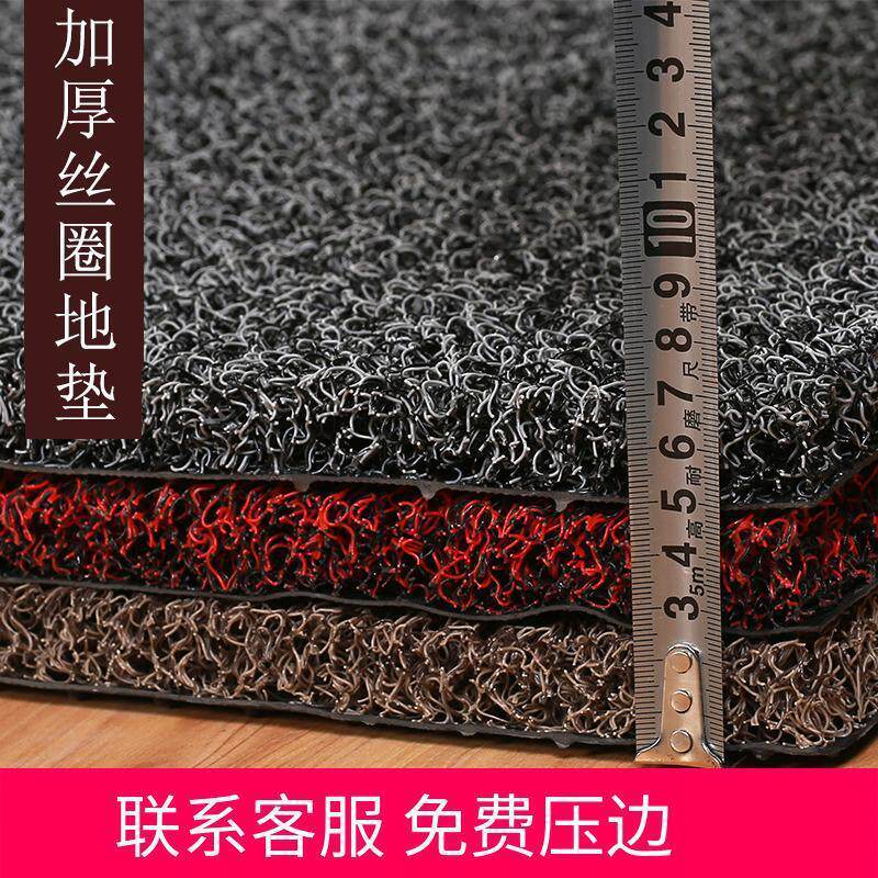 丝圈地垫地毯进门口门厅入户门垫可裁剪防滑防水汽车pvc脚垫