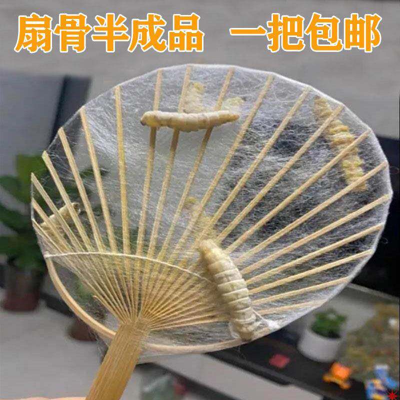 蚕丝扇骨制作蚕丝扇子骨蚕宝宝吐丝扇子骨半成品蚕吐丝架