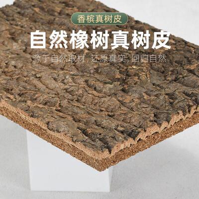 带背板香槟树皮天然真树皮造景装饰绿植墙爬宠箱背景板---闭严选
