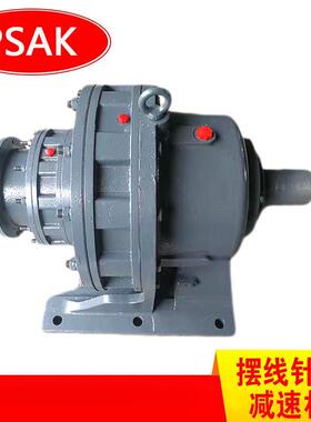 BD3型减速机XW卧式摆线D5针161313W轮减速箱BWD3-35-4KWZ型提升机