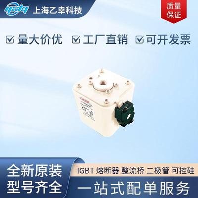 巴斯曼熔断器 170M6520 170M6521 170M6524 170M6534 170M6538