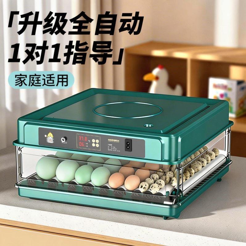 家用小型智能孵蛋器 自动孵化机器 适用小鸡鸭鹅孵蛋箱